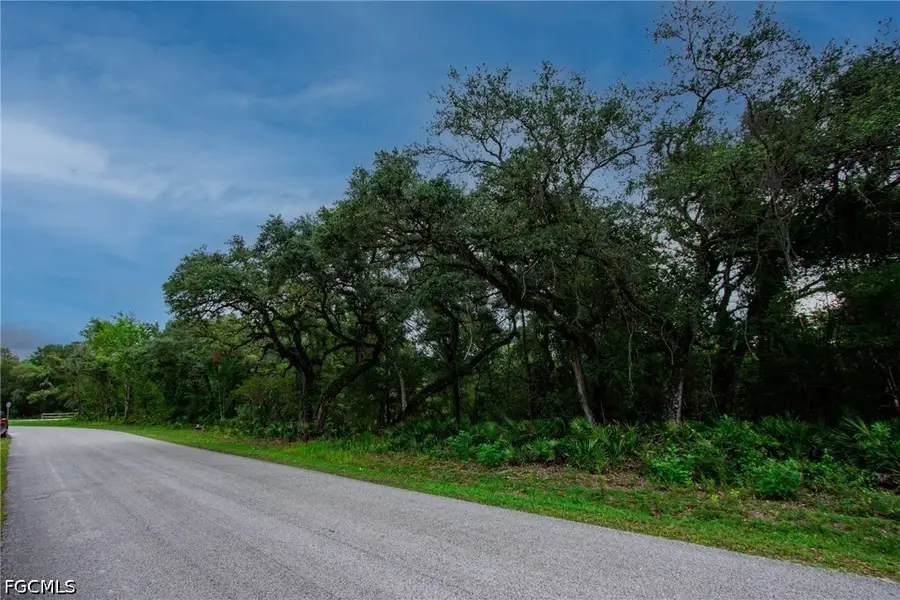 34122 August Avenue, Webster, FL 33597 - #3