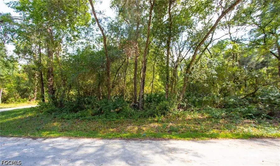 Packingham Drive, Webster, FL 33597 - #2