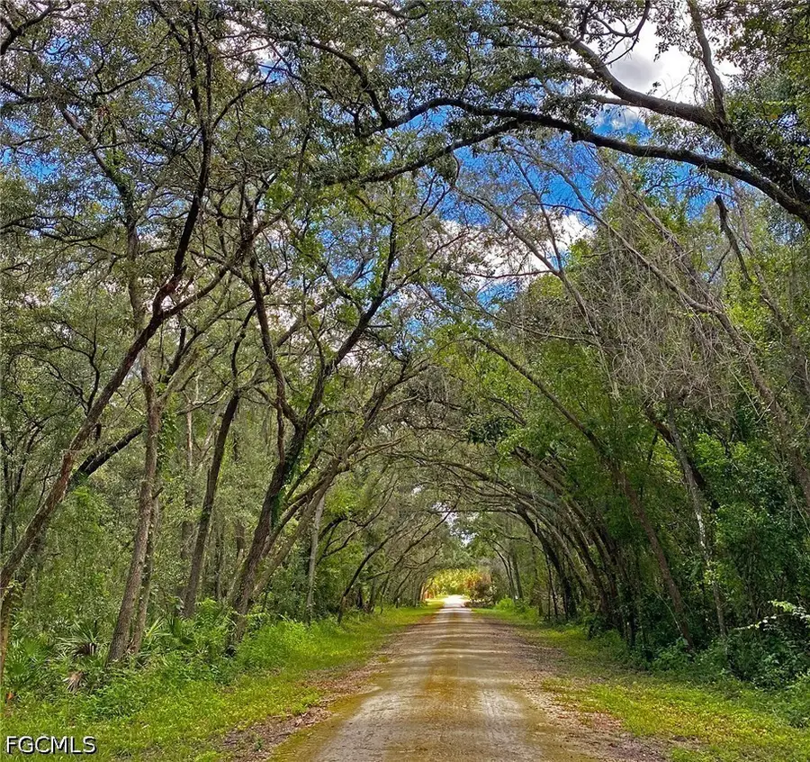 35084 Batesfield Street, Webster, FL 33597 - #3