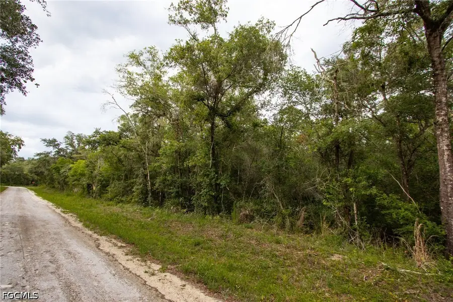 7398 Southeast Avenue, Webster, FL 33597 - #3
