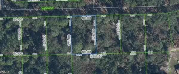 3224 Spoonbill Avenue, Lake Placid, FL 33852