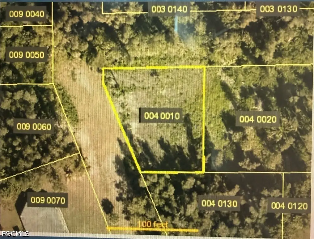 Americana Avenue, Estero, FL 33928 - #1