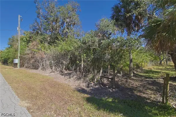 2975 Styles Road, Alva, FL 33920