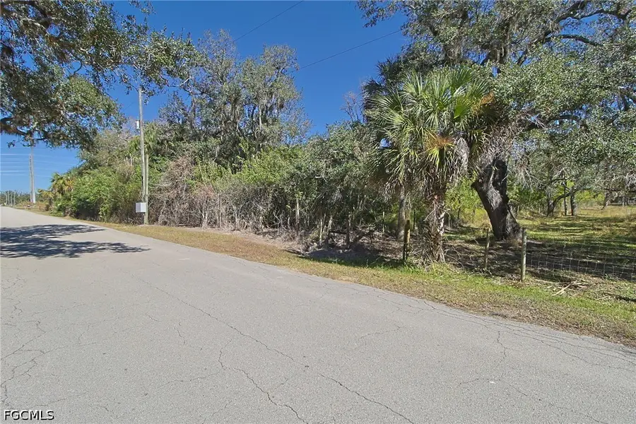 2975 Styles Road, Alva, FL 33920 - #3