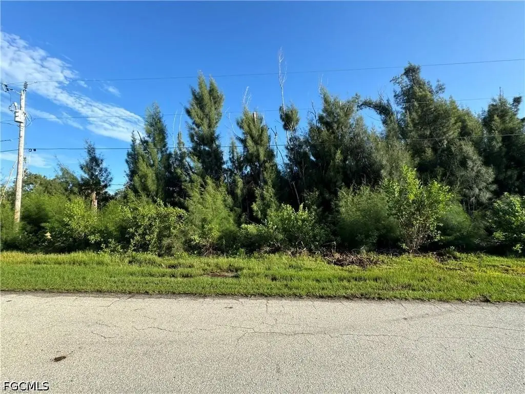 3486 Papaya Street, Saint James City, FL 33956 - #1