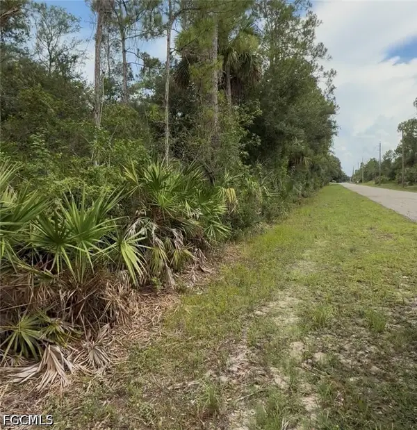 2114 Wellington Avenue, Alva, FL 33920