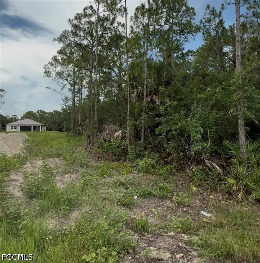 2114 Wellington Avenue, Alva, FL 33920 - #3