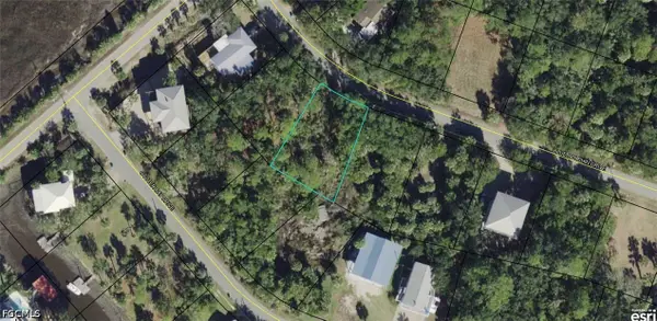 00-00-121-117-12199-057 Blue Dolphin Drive, Crawfordville, FL 32327