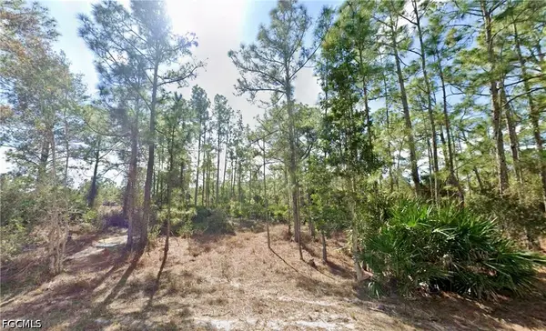 339 Mines Street, Lehigh Acres, FL 33972