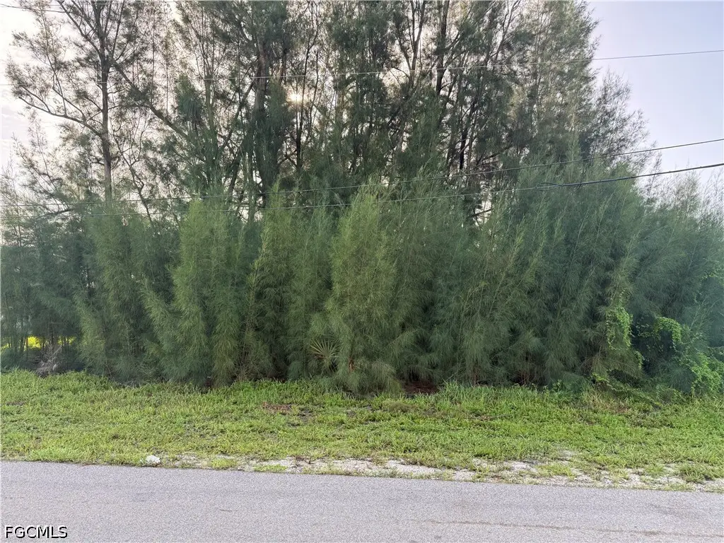 137 SW 34th Avenue, Cape Coral, FL 33991 - #1