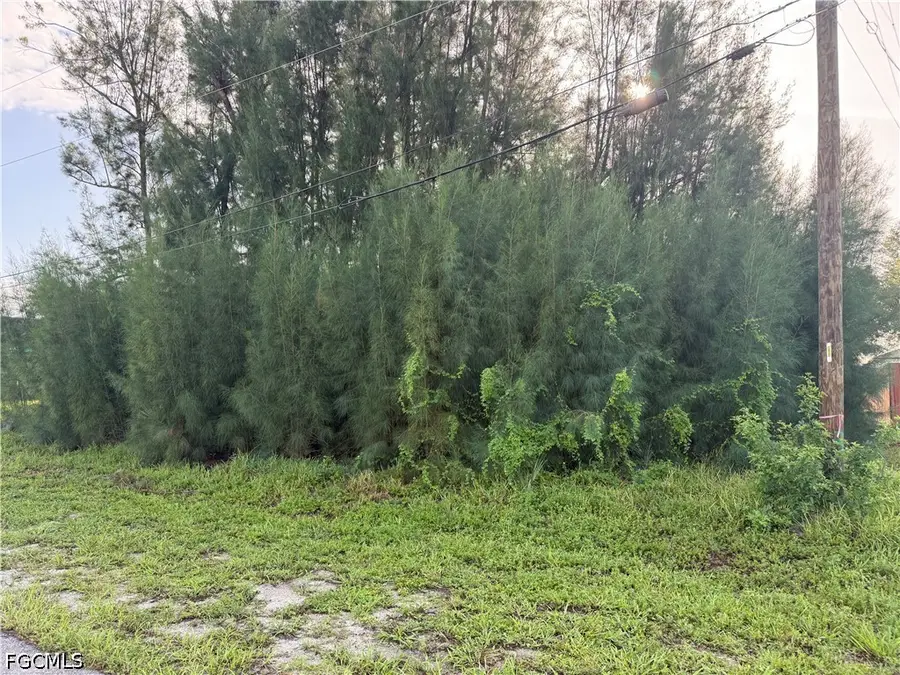 137 SW 34th Avenue, Cape Coral, FL 33991 - #2