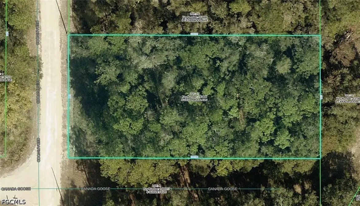 R01-221-17-3357-5520-0170 Cedarwood Avenue, Weeki Wachee, FL 34614 - #1