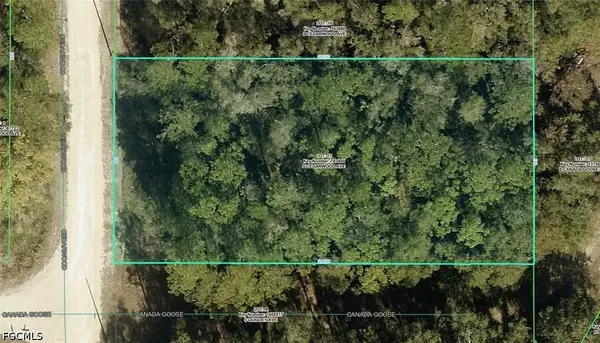 R01-221-17-3357-5520-0170 Cedarwood Avenue, Weeki Wachee, FL 34614