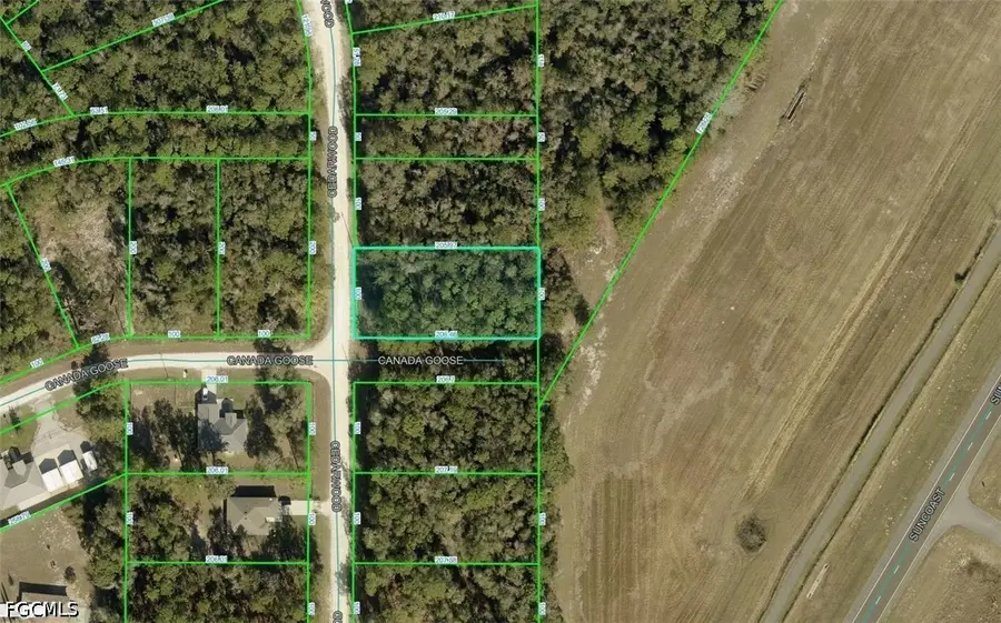 R01-221-17-3357-5520-0170 Cedarwood Avenue, Weeki Wachee, FL 34614 - #2