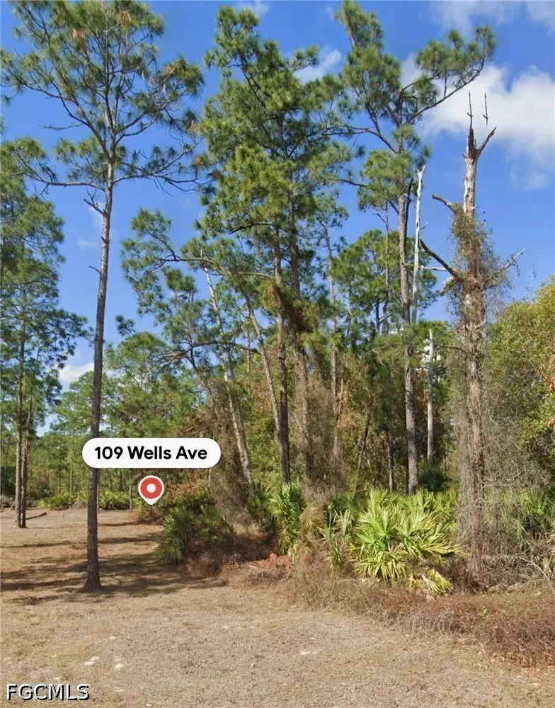 109 Wells Avenue, Lehigh Acres, FL 33936 - #1