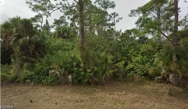 2321 Moore Avenue, Alva, FL 33920 - #1