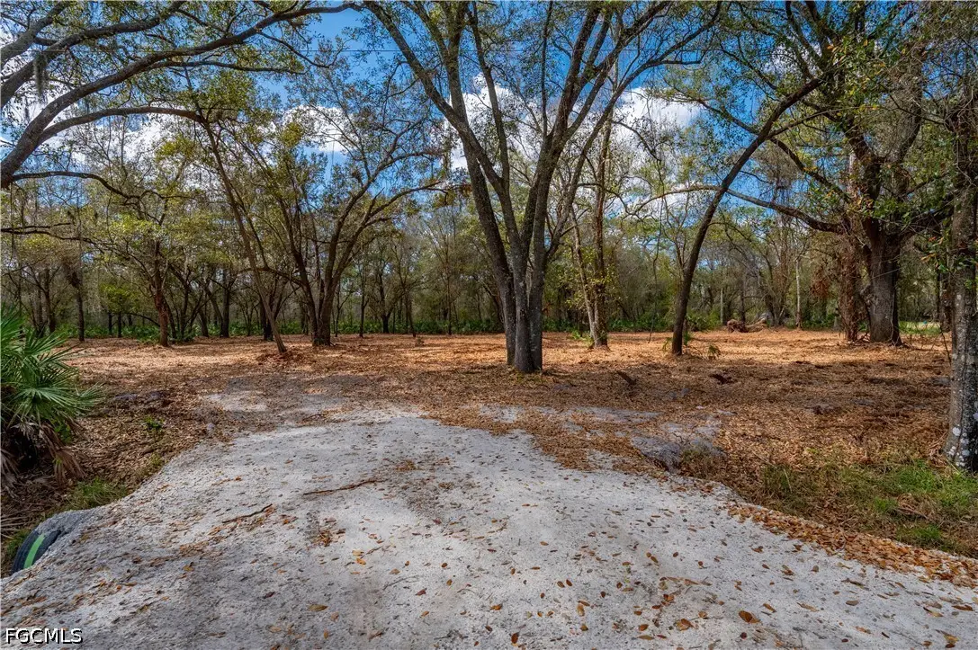 Se Hwy 31, Arcadia, FL 34266 - #1