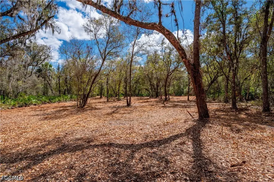 Se Hwy 31, Arcadia, FL 34266 - #3