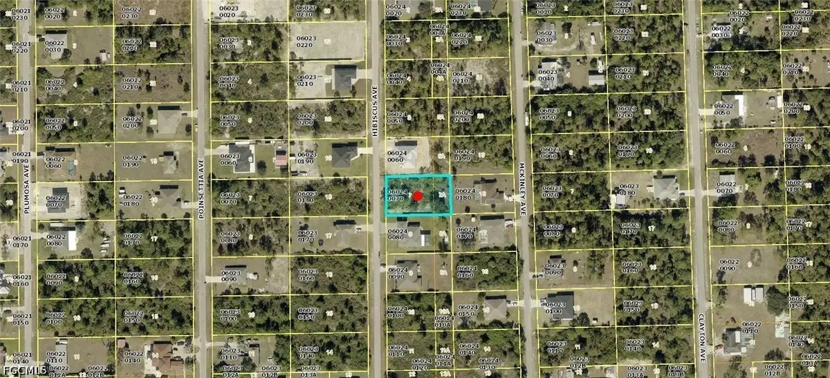 910 Hibiscus Avenue, Lehigh Acres, FL 33972 - #1