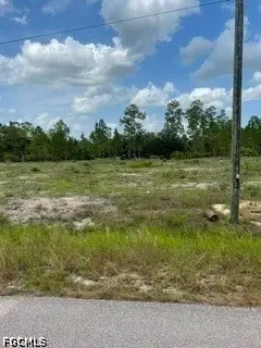 1216 Maple Avenue N, Lehigh Acres, FL 33972 - #1