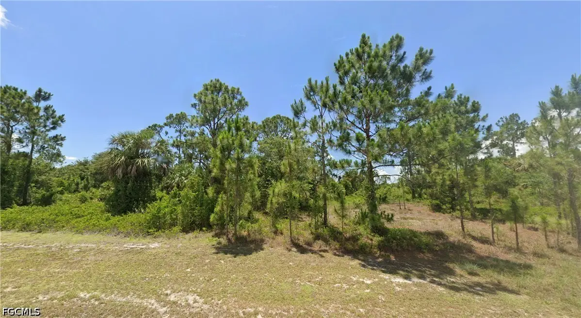 966 Chadwick Street, Lehigh Acres, FL 33974 - #1