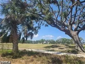 1806 NW 24th Place, Cape Coral, FL 33993 - #3