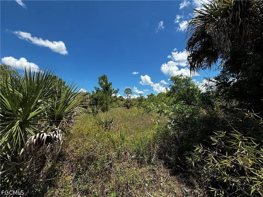 3485 35th Avenue Ne, Naples, FL 34120 - #2