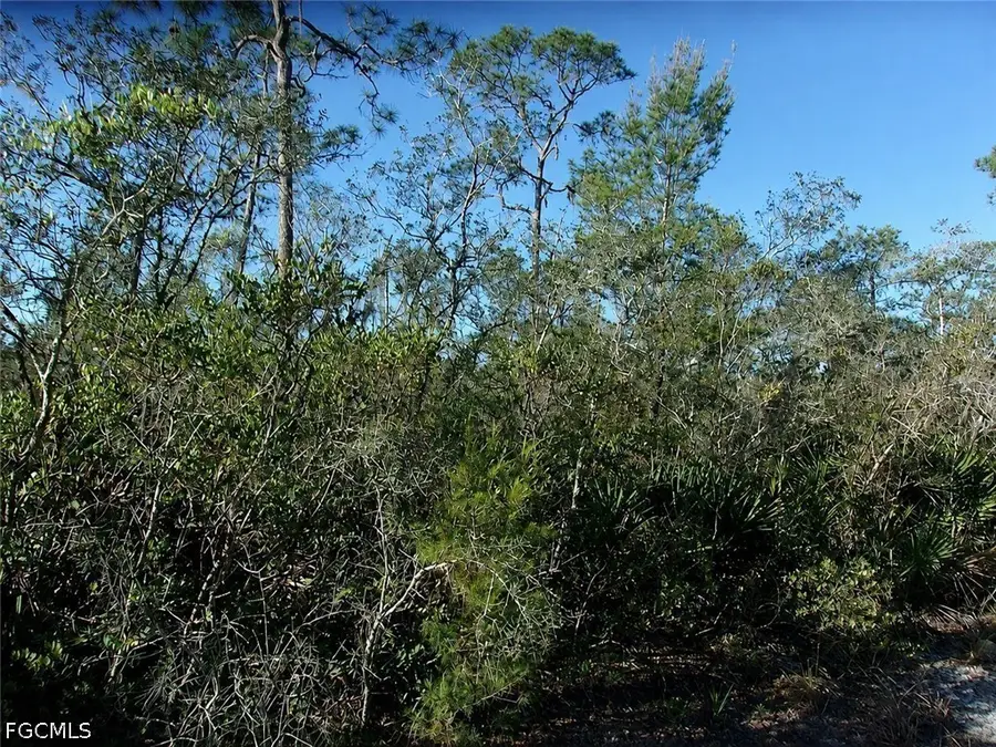 10566 Interlacher Drive, Sebring, FL 33875 - #3
