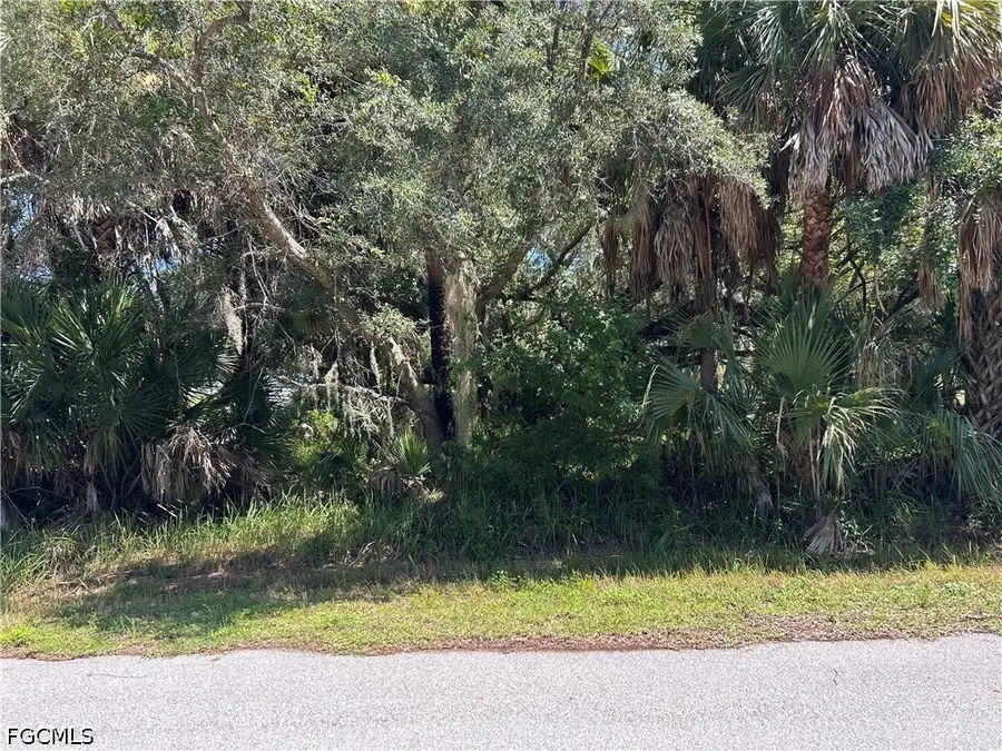 26156 Hapsburg Road, Punta Gorda, FL 33955 - #2