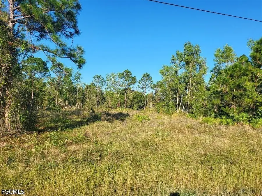 519 Grant Boulevard, Lehigh Acres, FL 33974 - #3