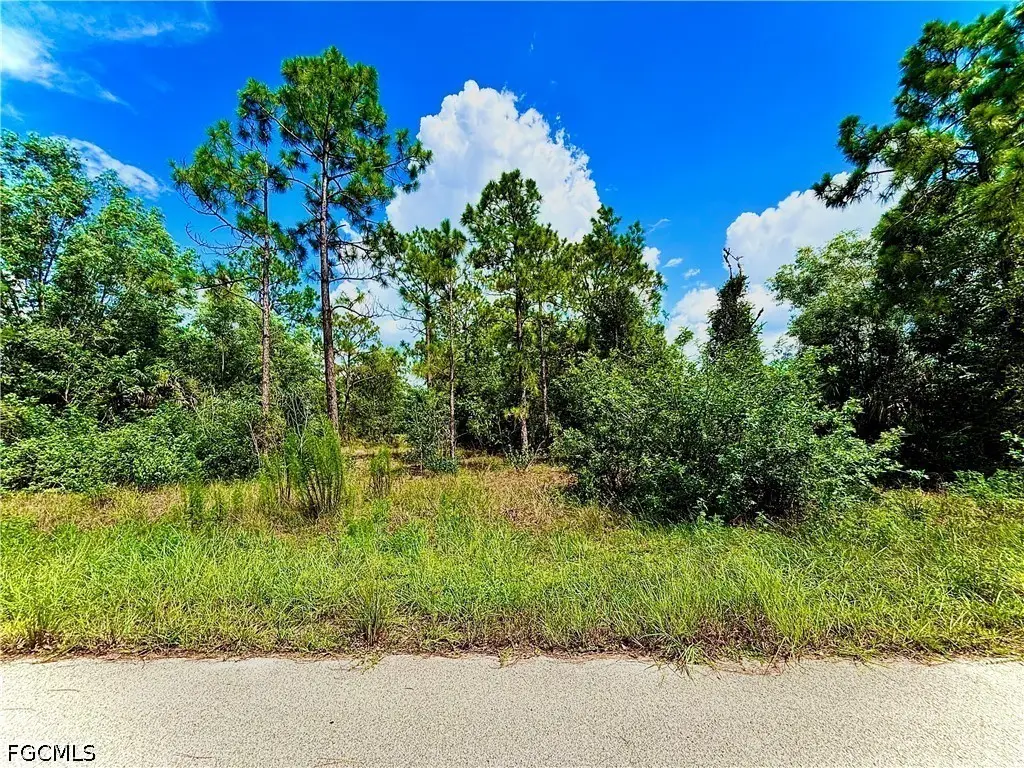 351 Mangonia Avenue, Lehigh Acres, FL 33974 - #1