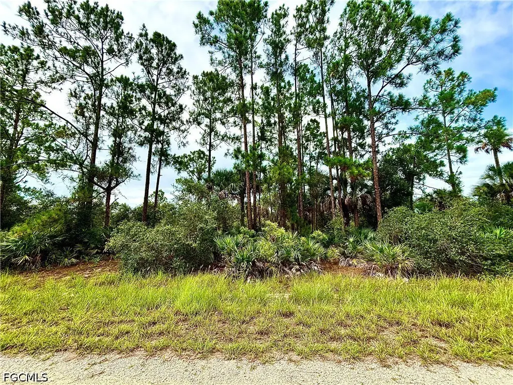 4203 E 27th Street, Alva, FL 33920 - #1