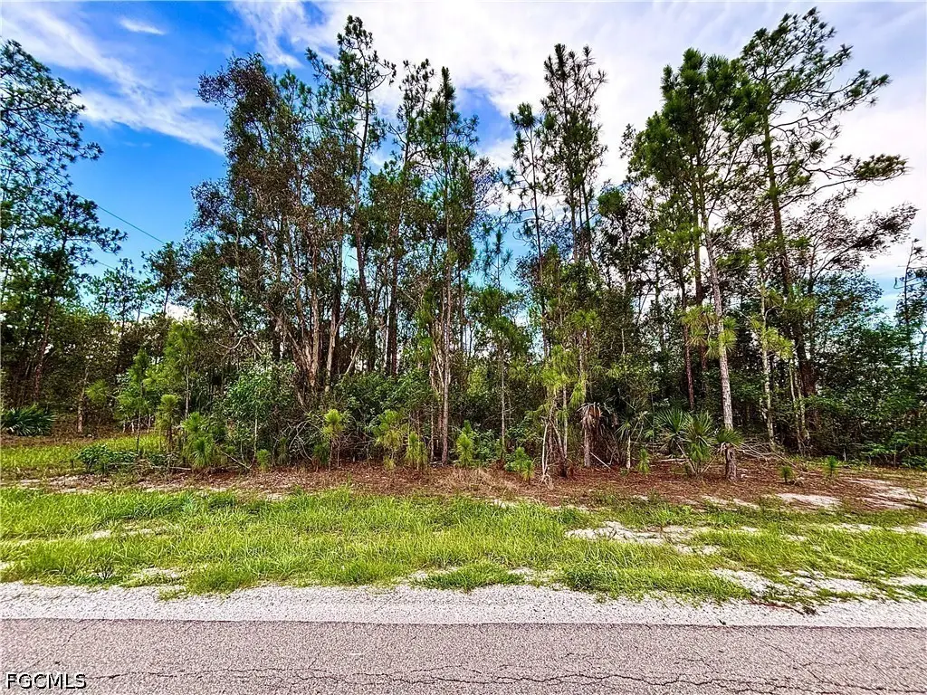 902 E 14th Street, Lehigh Acres, FL 33972 - #1
