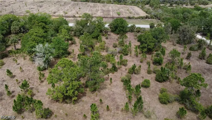 49151 Bermont Road, Punta Gorda, FL 33982 - #3
