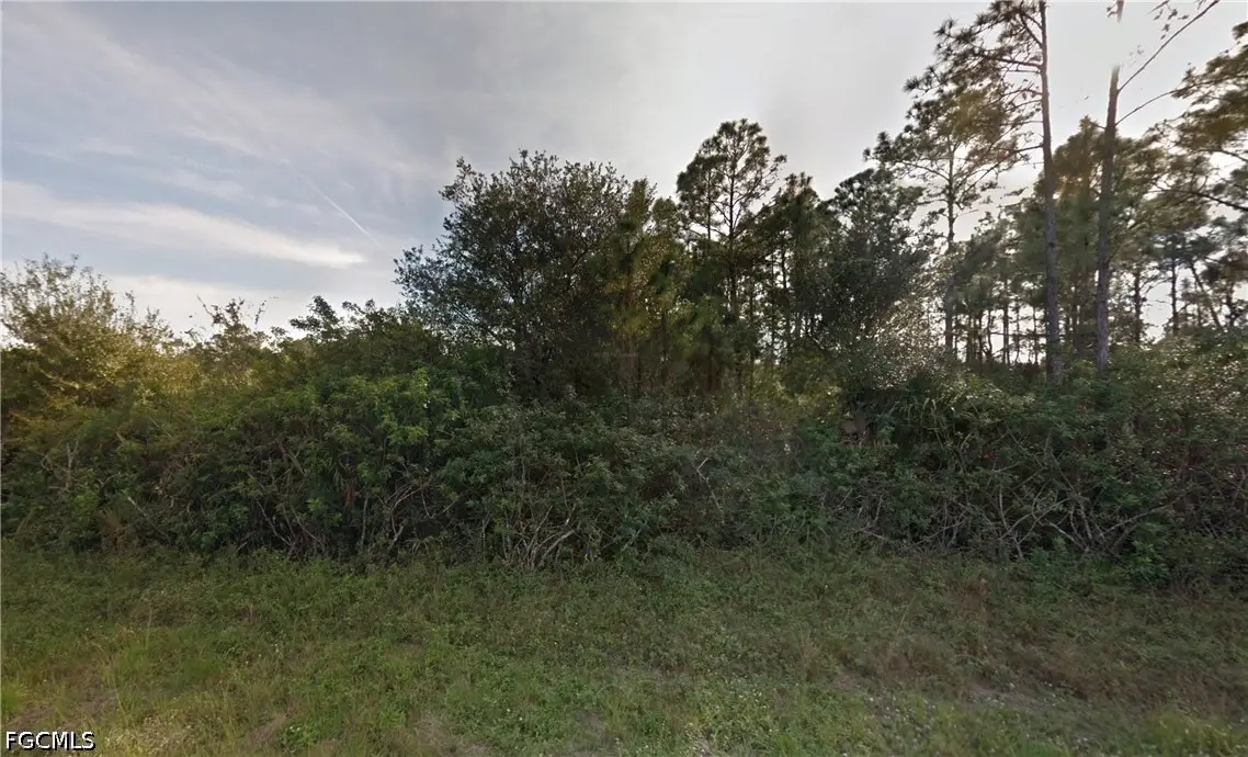 1238 Rake Street E, Lehigh Acres, FL 33974 - #1