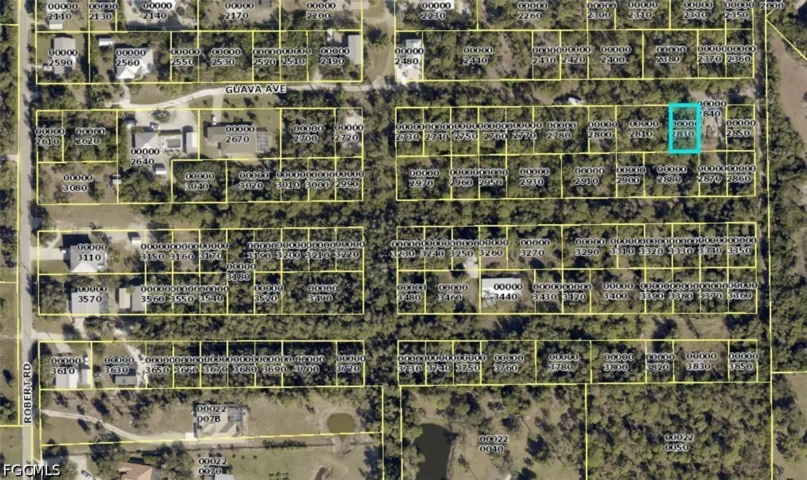 Guava Avenue, Bokeelia, FL 33922 - #1