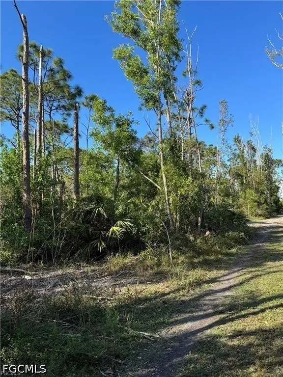 Guava Avenue, Bokeelia, FL 33922 - #3