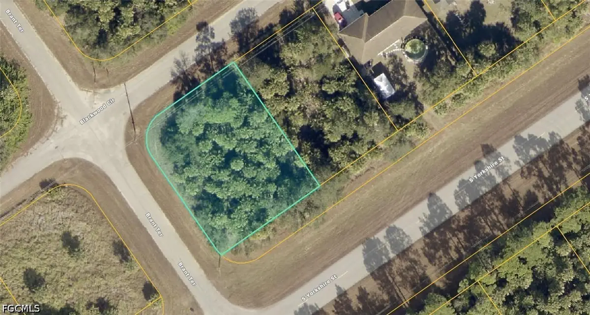 15-17-28-0200-009-00100 Georgia Street, Paisley, FL 32767 - #1