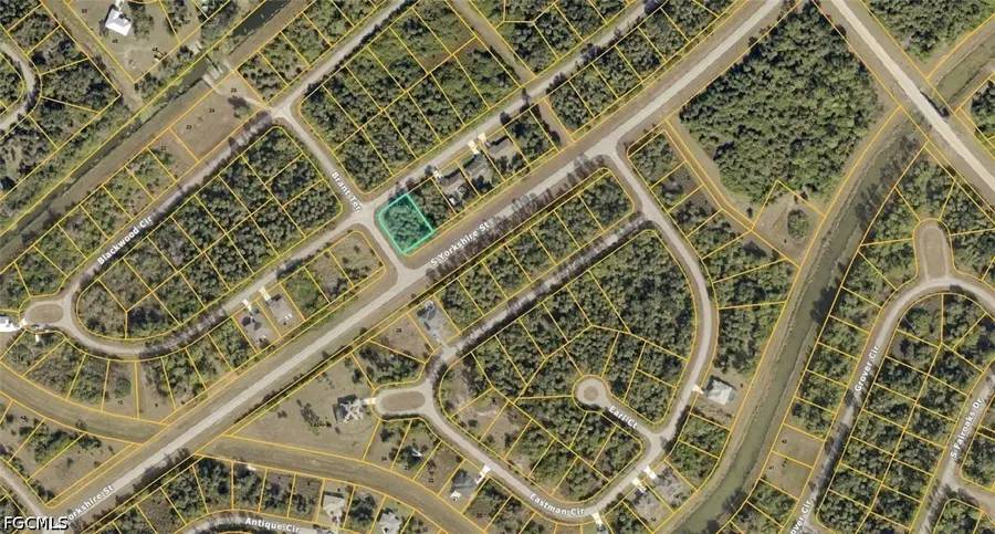 15-17-28-0200-009-00100 Georgia Street, Paisley, FL 32767 - #2