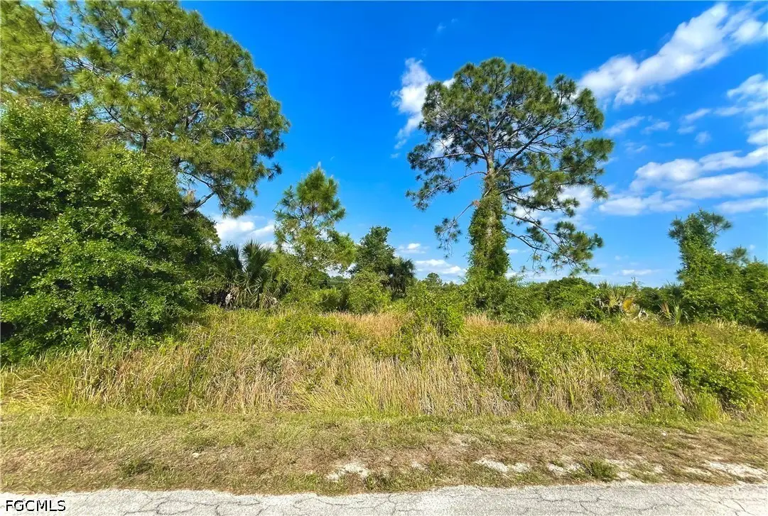 18 Roosevelt Avenue, Lehigh Acres, FL 33936 - #1