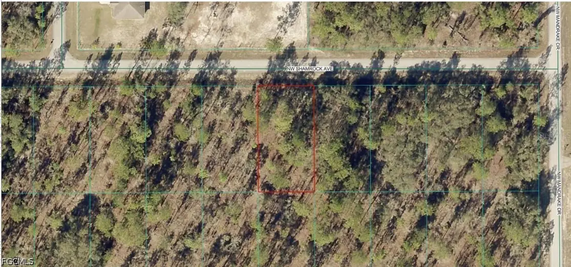 1814-007-013 NW Shamrock Avenue, Dunnellon, FL 34431 - #1