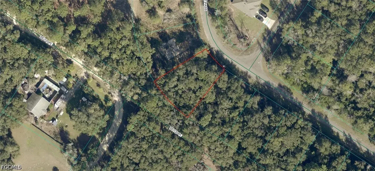 9042-1617-19 Baycourt Pass, Ocklawaha, FL 32179 - #1
