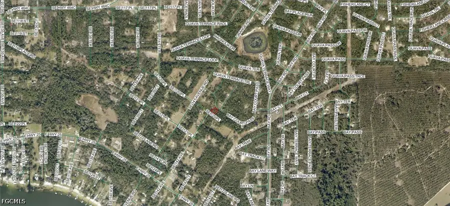 9042-1617-19 Baycourt Pass, Ocklawaha, FL 32179 - #3