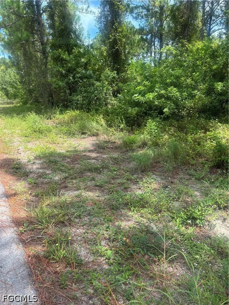 2110 Jackson Avenue, Alva, FL 33920 - #2