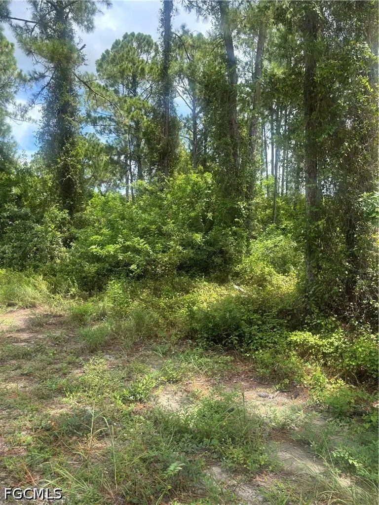 2110 Jackson Avenue, Alva, FL 33920 - #3