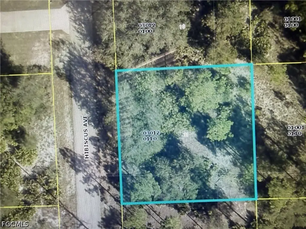 1602 Hibiscus Avenue, Lehigh Acres, FL 33972 - #1