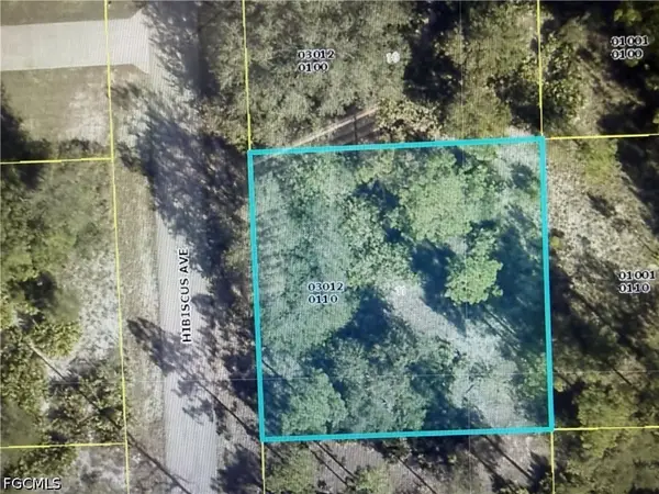 1602 Hibiscus Avenue, Lehigh Acres, FL 33972