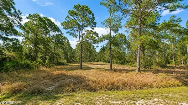 2206 Jefferson Avenue, Alva, FL 33920