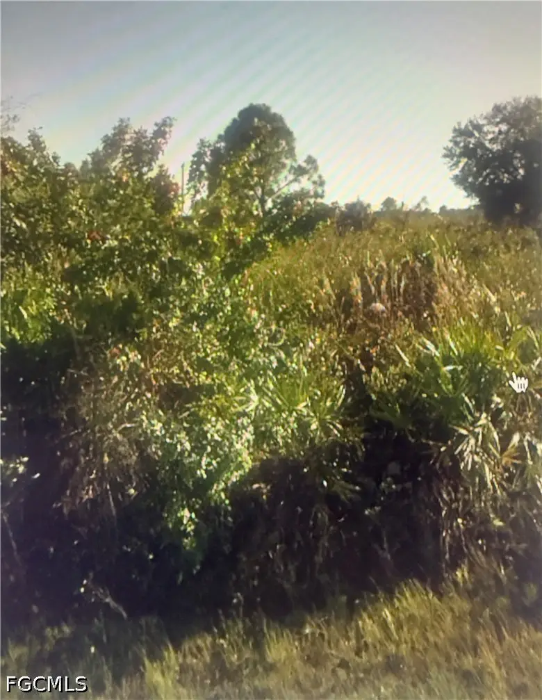 3402 64th Street W, Lehigh Acres, FL 33971 - #1