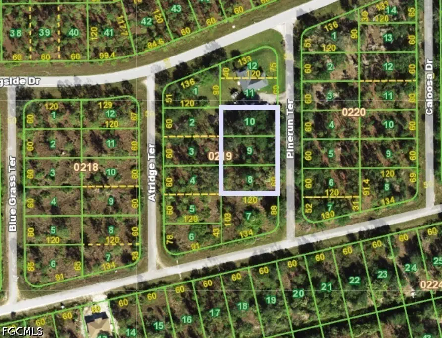 13263 Pine Run Terrace, Punta Gorda, FL 33955 - #2